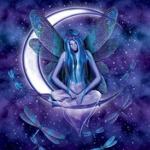 Meet your Posher, Dawn